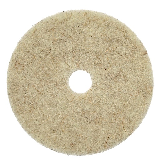 [49-20] Pad pulidora GLANZ de fibra de coco 20'' (grado hospitales)